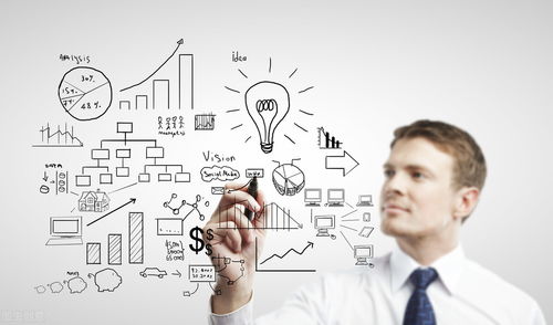 破局與新生 傳統軟件企業轉型中的互聯網產品市場策劃與運營思路探析