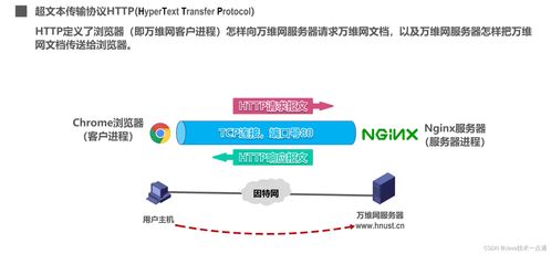 計(jì)算機(jī)網(wǎng)絡(luò)第六章應(yīng)用層學(xué)習(xí)筆記 計(jì)算機(jī)信息網(wǎng)絡(luò)設(shè)計(jì)的關(guān)鍵